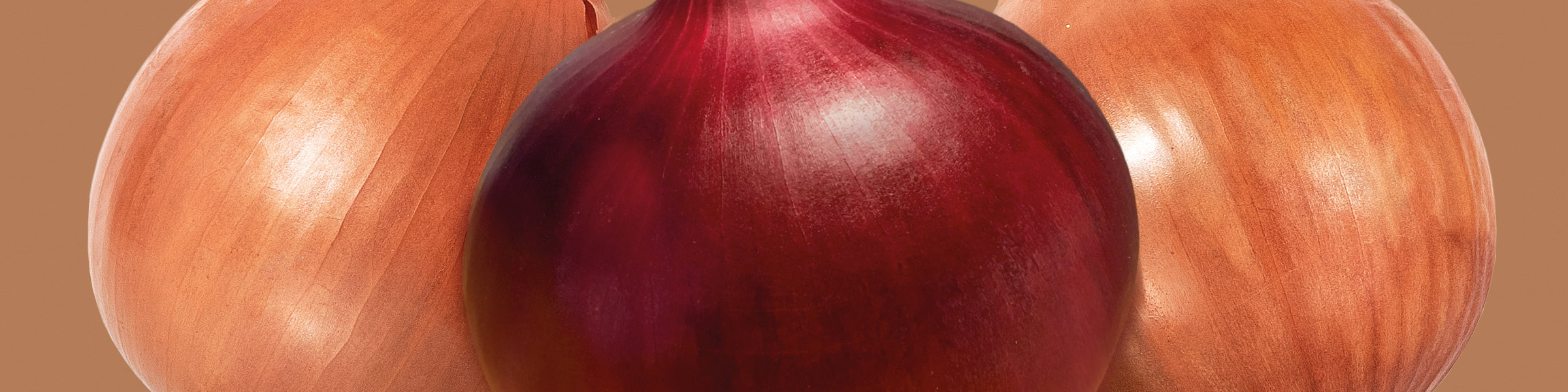 Onion