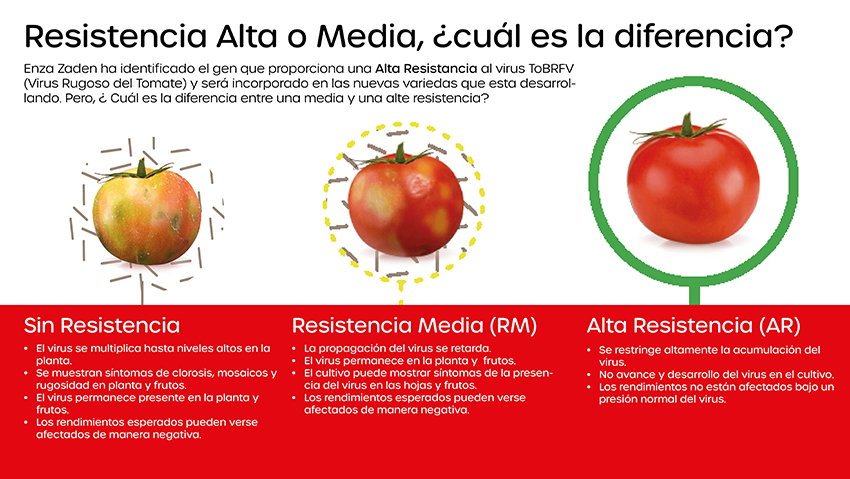 Infographic explaining the difference between IR and HR in resistance in plants