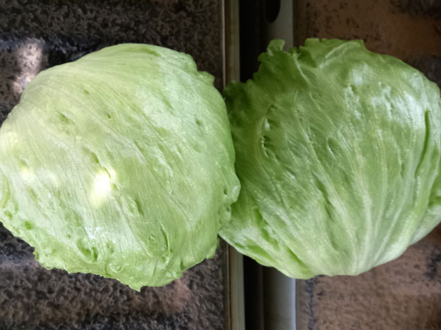 Iceberg lettuce Waltz