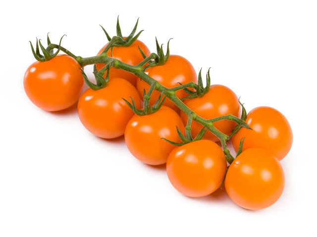 Tomato Annaorange