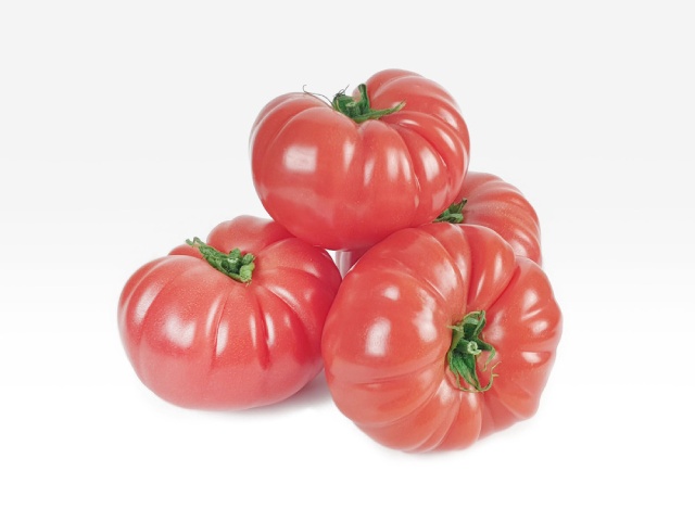 tomato vermilenza