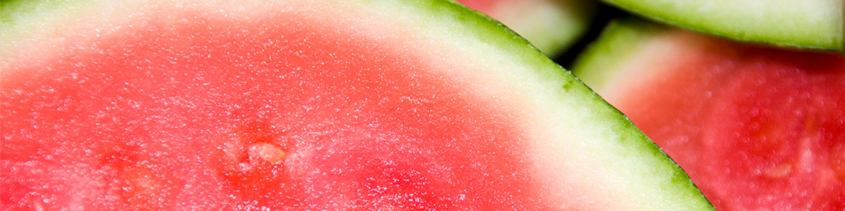 Watermelon Programme